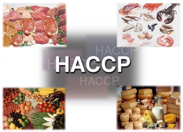 Predavanje HACCP verifikacija i revizija