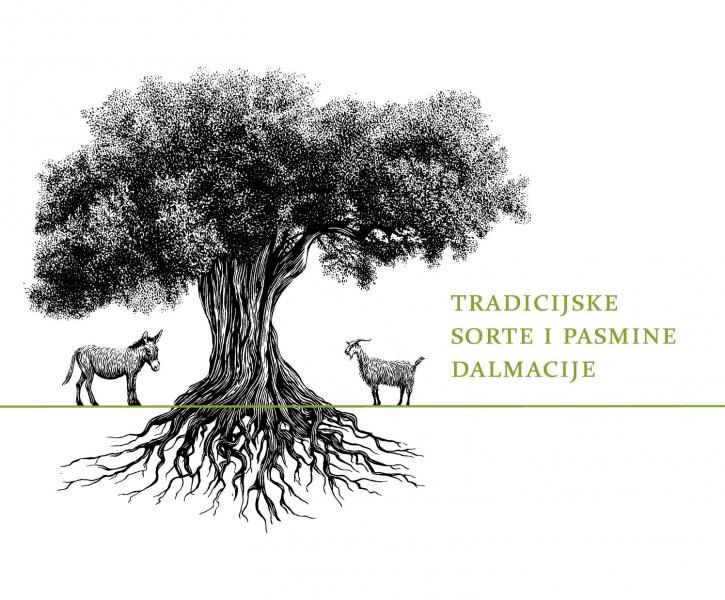 Predavanje Agrobioraznolikost Dalmacije; Stare sorte i pasmine Dalmacije