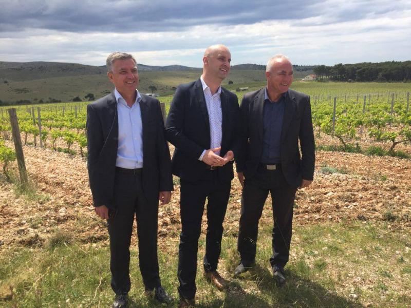 Ministar Tomislav Tolušić obišao vinograde u Jadrtovcu